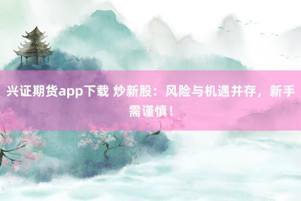 兴证期货app下载 炒新股：风险与机遇并存，新手需谨慎！