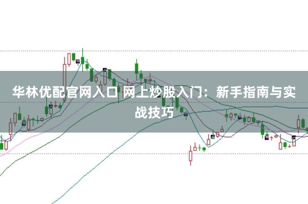 华林优配官网入口 网上炒股入门：新手指南与实战技巧