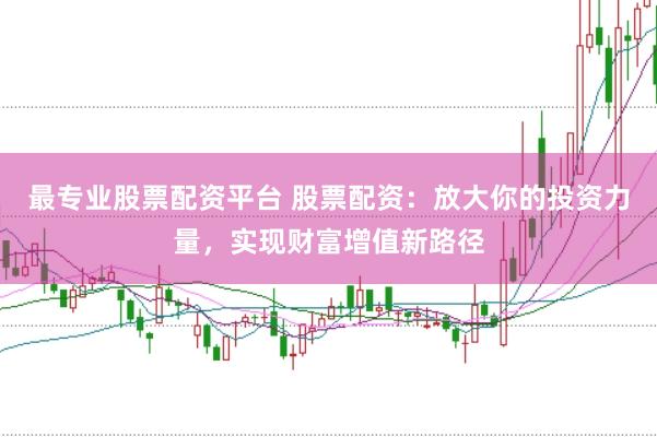 最专业股票配资平台 股票配资：放大你的投资力量，实现财富增值新路径