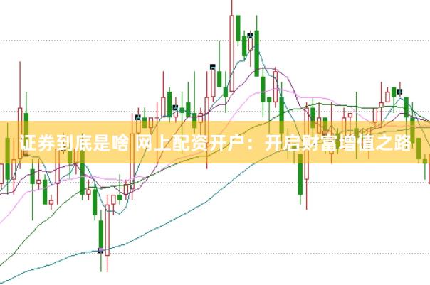 证券到底是啥 网上配资开户：开启财富增值之路