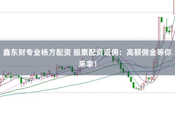 鑫东财专业杨方配资 股票配资返佣：高额佣金等你来拿！