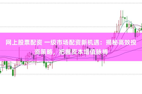 网上股票配资 一级市场配资新机遇：揭秘高效投资策略，把握资本增值脉搏
