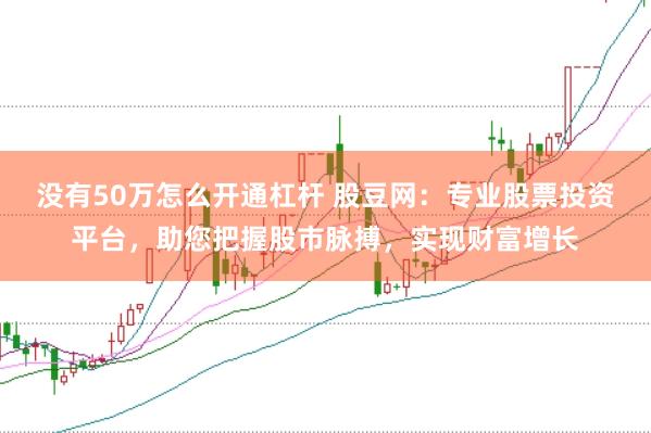 没有50万怎么开通杠杆 股豆网：专业股票投资平台，助您把握股市脉搏，实现财富增长
