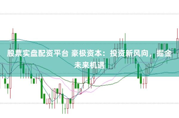 股票实盘配资平台 豪极资本：投资新风向，掘金未来机遇