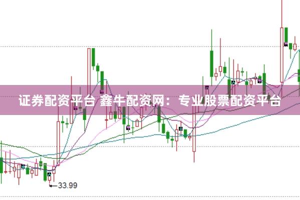 证券配资平台 鑫牛配资网：专业股票配资平台