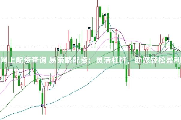 网上配资查询 易策略配资：灵活杠杆，助您轻松盈利