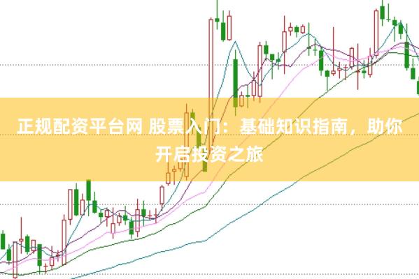 正规配资平台网 股票入门：基础知识指南，助你开启投资之旅