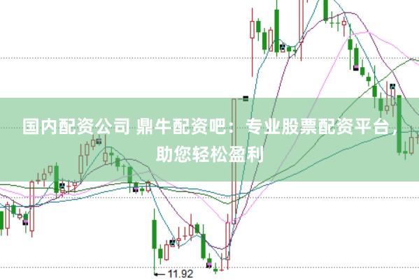 国内配资公司 鼎牛配资吧：专业股票配资平台，助您轻松盈利