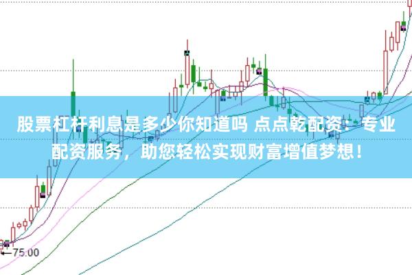 股票杠杆利息是多少你知道吗 点点乾配资：专业配资服务，助您轻松实现财富增值梦想！