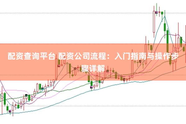 配资查询平台 配资公司流程:入门指南与操作步骤详解